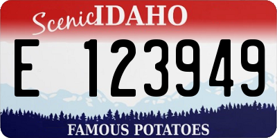 ID license plate E123949