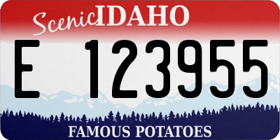 ID license plate E123955