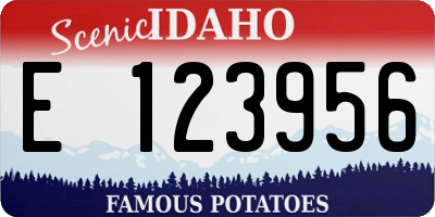 ID license plate E123956