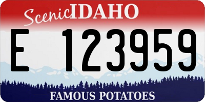ID license plate E123959