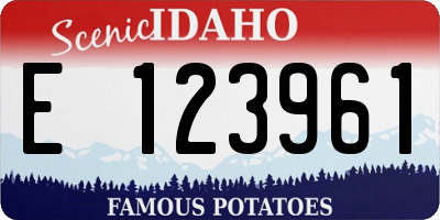 ID license plate E123961