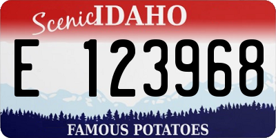 ID license plate E123968