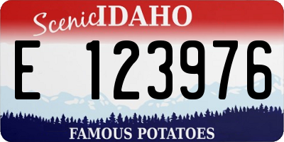 ID license plate E123976