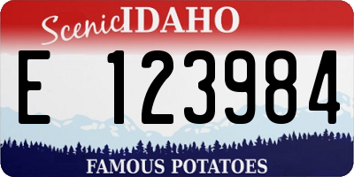 ID license plate E123984