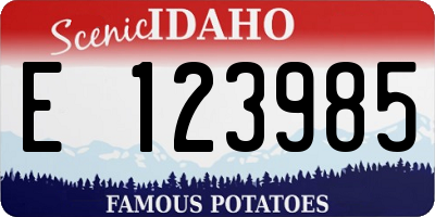 ID license plate E123985