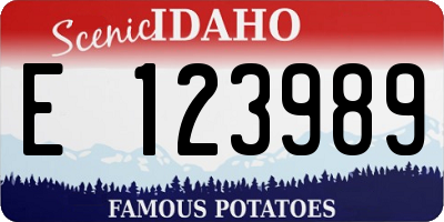 ID license plate E123989