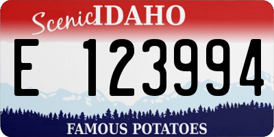 ID license plate E123994