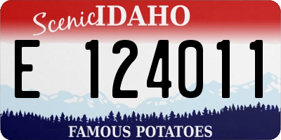 ID license plate E124011