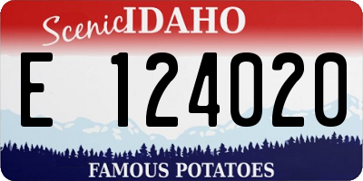 ID license plate E124020