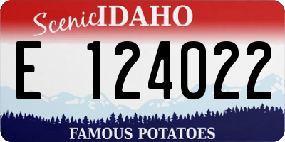 ID license plate E124022