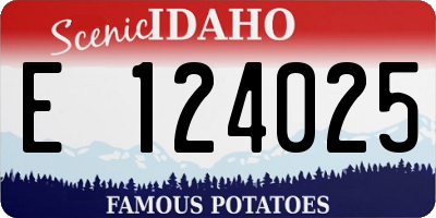 ID license plate E124025