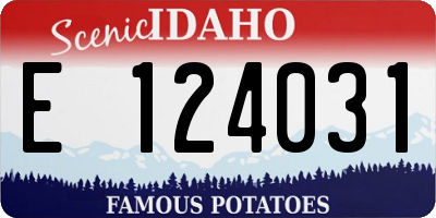 ID license plate E124031