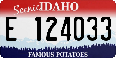 ID license plate E124033