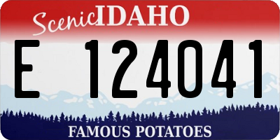 ID license plate E124041