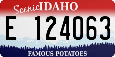 ID license plate E124063