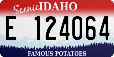 ID license plate E124064