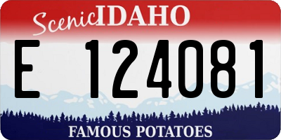 ID license plate E124081