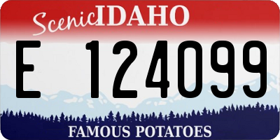 ID license plate E124099