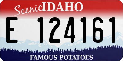ID license plate E124161