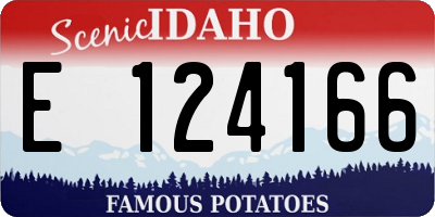 ID license plate E124166