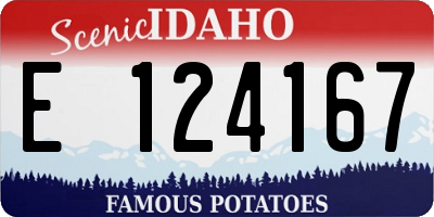 ID license plate E124167