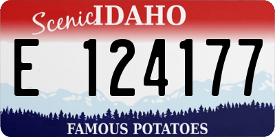 ID license plate E124177