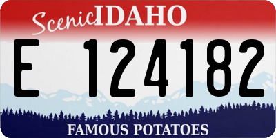ID license plate E124182
