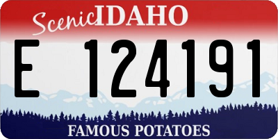 ID license plate E124191