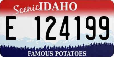 ID license plate E124199