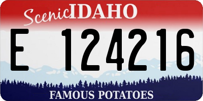 ID license plate E124216