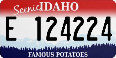 ID license plate E124224