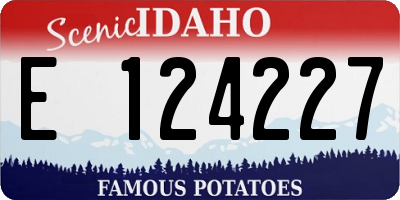 ID license plate E124227