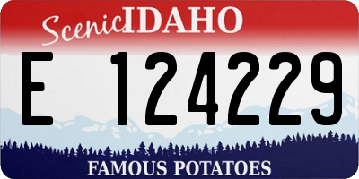 ID license plate E124229