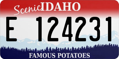 ID license plate E124231