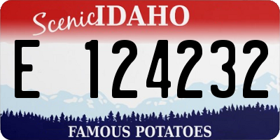 ID license plate E124232