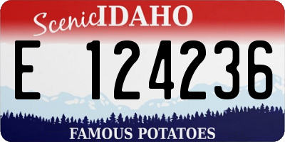 ID license plate E124236