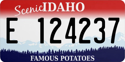 ID license plate E124237
