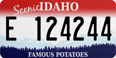 ID license plate E124244