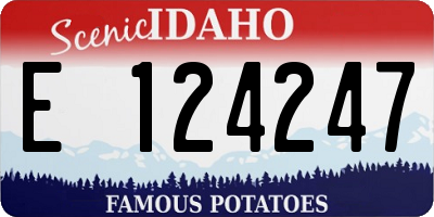 ID license plate E124247