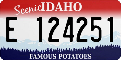 ID license plate E124251