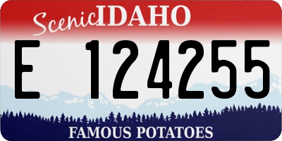 ID license plate E124255