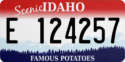 ID license plate E124257