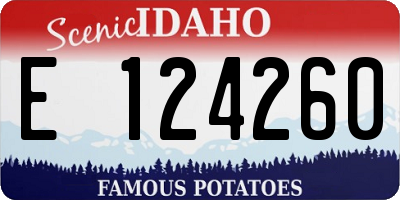 ID license plate E124260