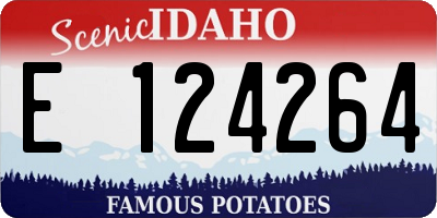 ID license plate E124264