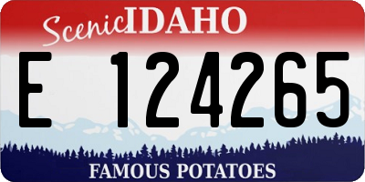 ID license plate E124265