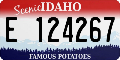 ID license plate E124267