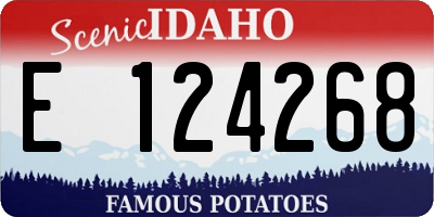 ID license plate E124268