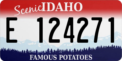 ID license plate E124271
