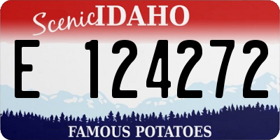 ID license plate E124272