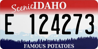 ID license plate E124273